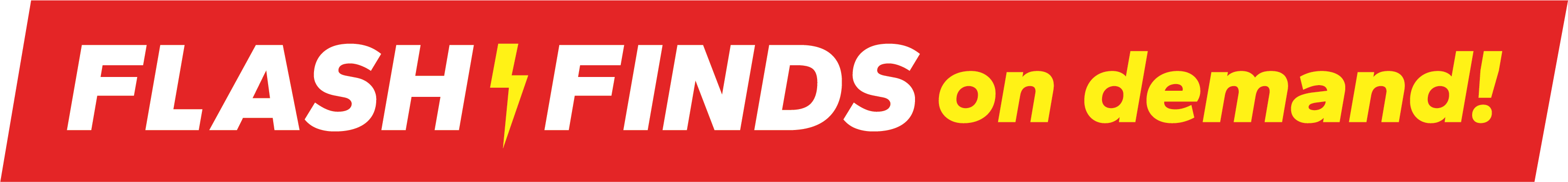 FlashFinds Logo